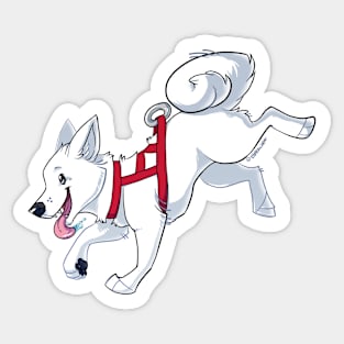 White Husky Running Sticker